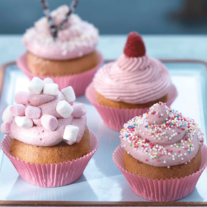 Bild von Dessertpaste Himbeer für Bäckerei, Konditorei, Gastronomie und Eisdiele Bild von Dessertpaste Himbeer für Bäckerei, Konditorei, Gastronomie und Eisdiele