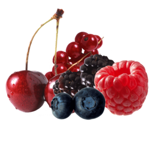Bild von Fruchtpüree Rote Früchte für Bäckerei, Konditorei, Gastronomie und Eisdiele Bild von Fruchtpüree Rote Früchte für Bäckerei, Konditorei, Gastronomie und Eisdiele