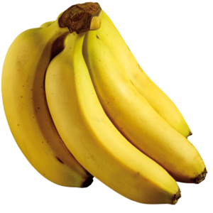 Bild von Fruchtpüree Banane für Bäckerei, Konditorei, Gastronomie und Eisdiele Bild von Fruchtpüree Banane für Bäckerei, Konditorei, Gastronomie und Eisdiele